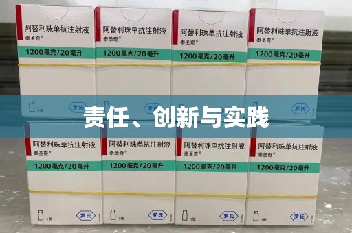 临沂责任、创新与实践