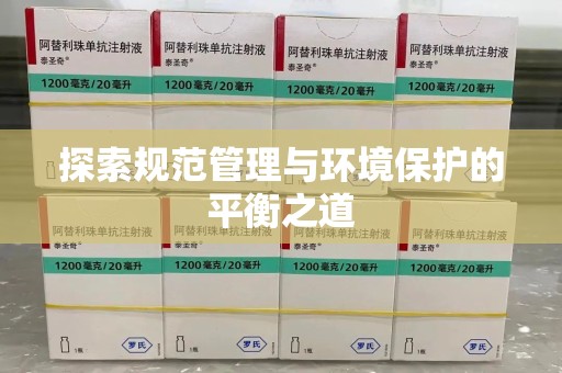 临沂探索规范管理与环境保护的平衡之道